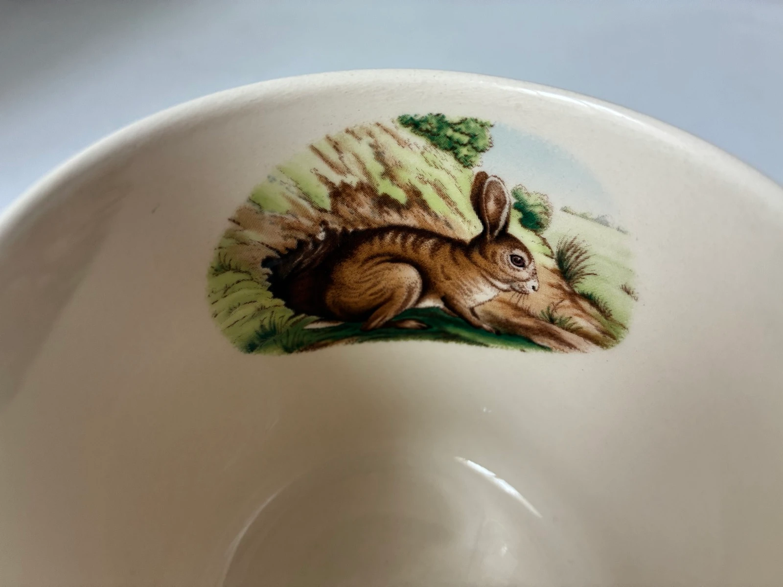 Set of 3 Spode Woodland Rabbit Mugs – photo 10